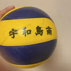 FIVB バレーボール 青/黄