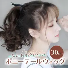 【送料無料】ポニーテール ウィッグ