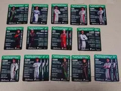 スーパーフォーミュラ もてぎ ドライバーズカード 23枚