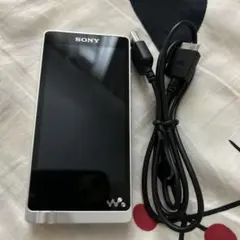 Sony Walkman NW-ZX1 128GB 中古品　箱付き SONY 【中古】NW-ZX1 128GB S シルバー【秋葉原】 – e☆イヤホン