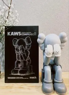 KAWS PASSING THROUGH GREY 28cm