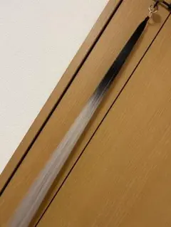 Item thumbnail for item 123a50bf-260a-4d48-b966-fb6341e90b1a