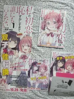 非売品　私の初恋は恥ずかしすぎて誰にも言えない　ポスター　POP　等