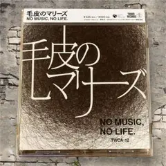 毛皮のマリーズNOMUSIC,NOLIFE.＜タワーレコード限定/生産限定盤＞