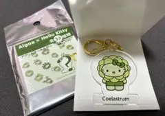 EXPO2025 日本館　藻キティ　アクリルキーホルダー