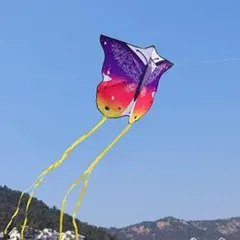 Item thumbnail for item 05fa1695-49a2-443a-a56f-2d09b4e3e4ee