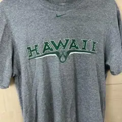 Nike Hawaii Tシャツ Mサイズ グレー