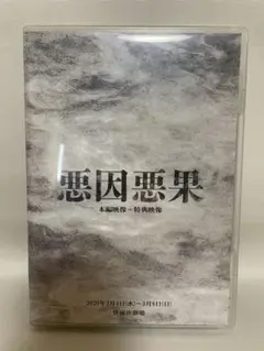 悪因悪果 DVD