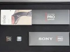 Item thumbnail for item 9a746f69-8f25-40f4-bbc1-af811844c3c1