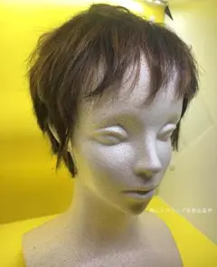 Item thumbnail for item 219916af-b836-49c4-a8a6-e5ba8a2040ef