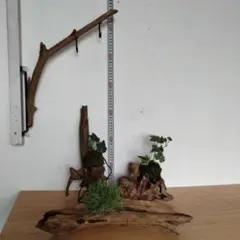 Item thumbnail for item 44ddc34b-38c1-42c0-8fbf-4560326945b2