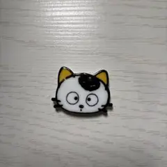 うちのタマ知りませんか？　マグネット