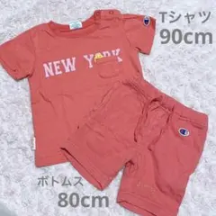チャンピオン Tシャツ/ボトムス