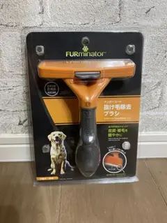 Item thumbnail for item a9a99952-a041-4e0d-b0bf-96d39036c0a7