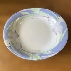 美濃焼　お皿5枚セット