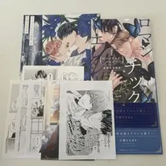 佐藤さなゆき 小冊子 ペーパー 特典