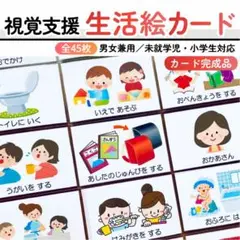 【完成品】生活絵カード　発達障害　自閉症　視覚支援　療育　知育カード