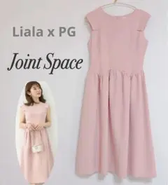 パネル袖 プリンセスカット ワンピース Liala×PG ピンクワンピース