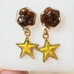 レインボーガーネットピアス⭐スター⭐
