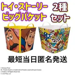 【新品未使用品】 トイ・ストーリープラチナムザッカビッグバケット 2種セット