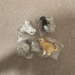 Item thumbnail for item 6a8b04c3-c1d4-40c9-a6af-725ce3199e2e