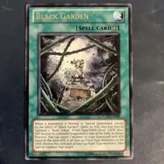 ブラック・ガーデン