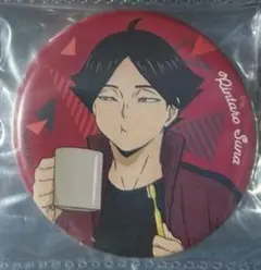 『ハイキュー!!』　日向翔陽　缶バッジ