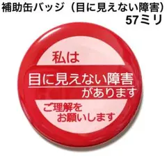 補助缶バッジ【目に見えない障害】57ミリ