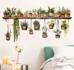 ウォールステッカー 壁紙シール DIY 多肉植物 たにく グリーン 緑 観葉植物