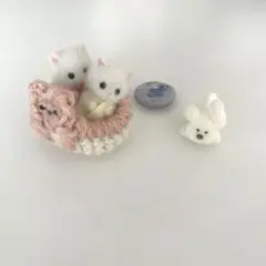 ペルシャネコのみつごちゃん