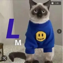 Item thumbnail for item 8a33569a-da32-4a24-b494-f8315221fd85