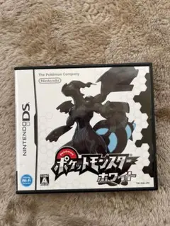 3DS ゲームカセット