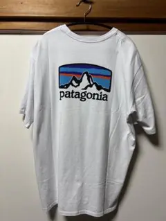 パタゴニア　Tシャツ　サイズL