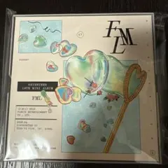 FMLJCARATVerSEVENTEEN ウォヌ