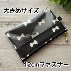 パスケース　大きめサイズ　ラミネート　12㎝ファスナー　ハンドメイド　リボン　黒