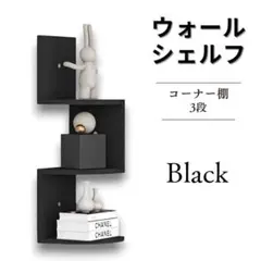 ウォールラック 飾り棚 ウォールシェルフ 2406111616 ブラック Ⓣ