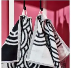 Item thumbnail for item d3dfbed3-e2fe-4ced-8ef1-92503ffba2bc