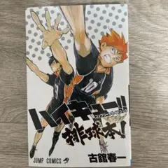 Item thumbnail for item 8895c4f3-447b-4367-b901-768b5d16ef61