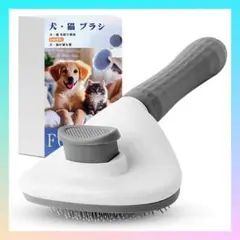 Item thumbnail for item 3b1c1426-4aad-410f-a3fc-92ed85c39024