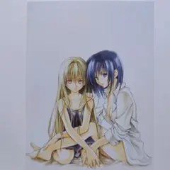 BLACK　CAT　ブラックキャット　矢吹健太朗　ポストカード　イヴ　リンス