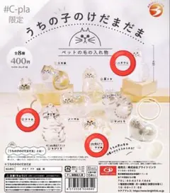 うちの子のけだまだま サビ猫・ハチワレ・シャム