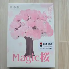 Magic 桜 12時間で満開