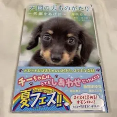 【中古】天国の犬ものがたり ～笑顔をあげに～