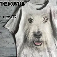 THE MOUNTAIN　ザマウンテン　ホワイトテリア　Tシャツ　犬　メンズM