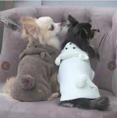 Item thumbnail for item 53b111d5-f01f-4b16-929d-88814da51fa2