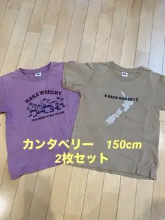 カンタベリーキッズ150cmTシャツ 2枚セット