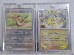 イーブイ サンダース マスターボールミラー