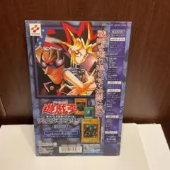 遊戯王 初期 カードダス 台紙　シールダス　絶版　長方形　1999 遊戯王 初期 カードダス 台紙 シールダス 絶版 長方形 1999