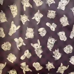 ジョリーフルールラミネート生地