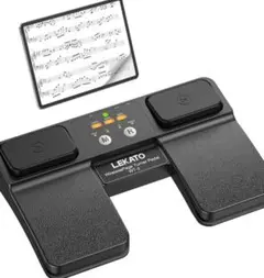 Item thumbnail for item ab67bc4b-033f-4f74-961c-deeec41e5a2a